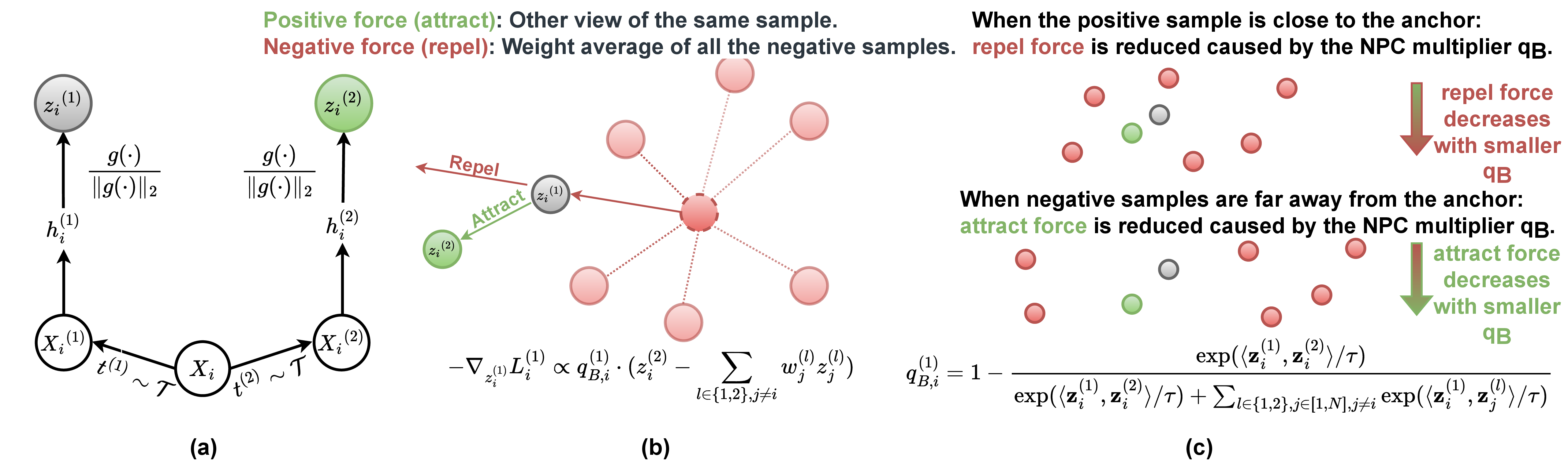 NPC coupling visualization